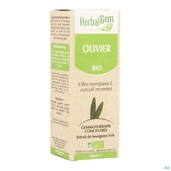 Herbalgem Olijfboom Maceraat 50ml